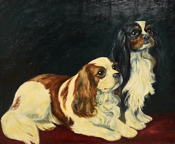 Contemporary oil on board, Study of two Cavalier King Charles Spaniels, indistinctly signed and dated '93, 29 x 34cm